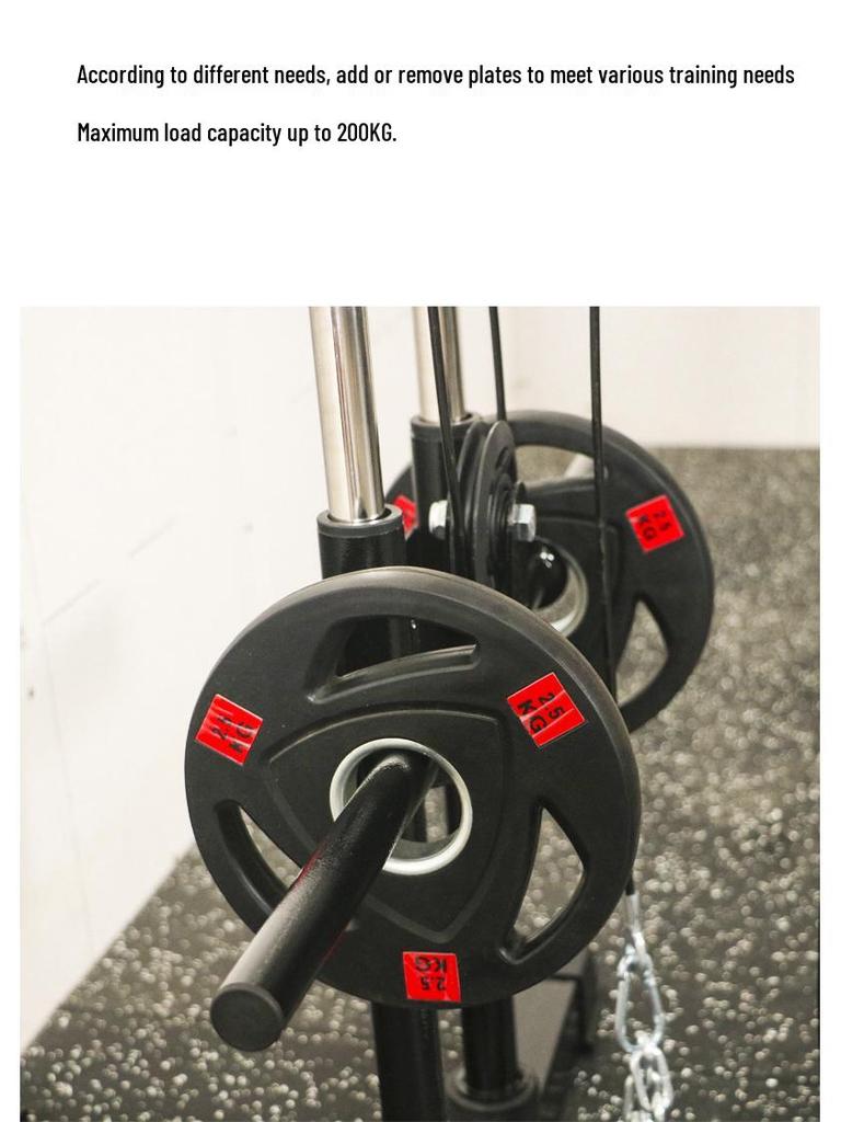 Wall-Mounted Bird Trainer: Multifunctional Lat Pulldown & Triceps Fitness Equipment