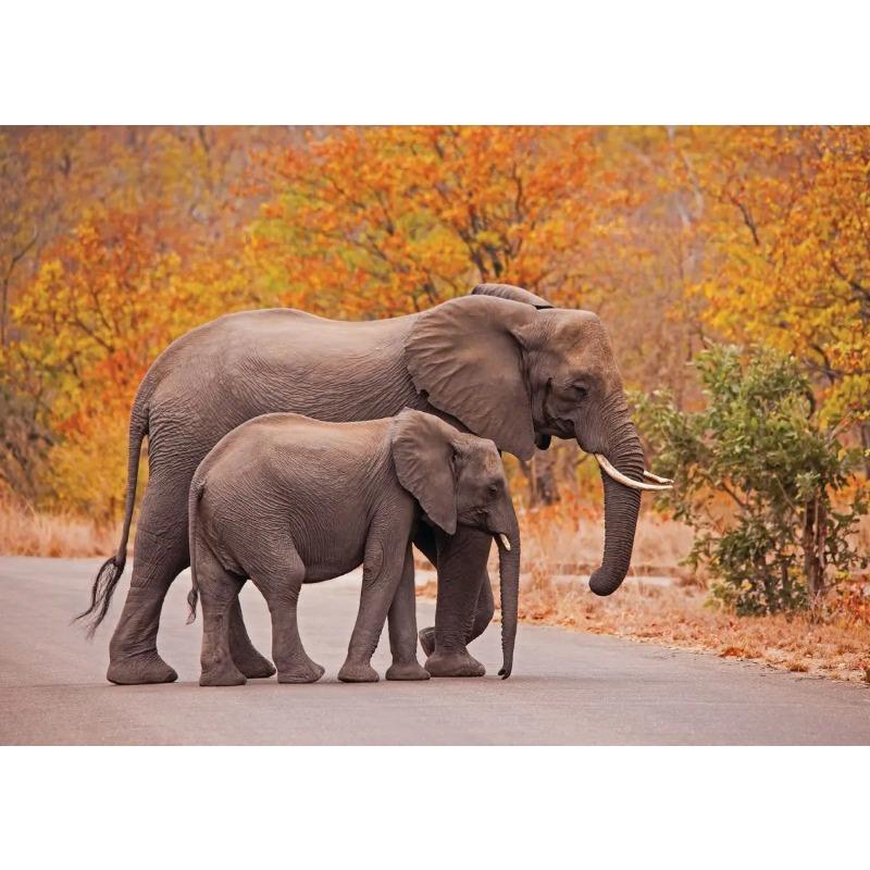 Elephant Baby Family Poster Print Modern Wildlife Animal Wall Art Canvas Painting Picture Nature Landscape for Living Roon Decor