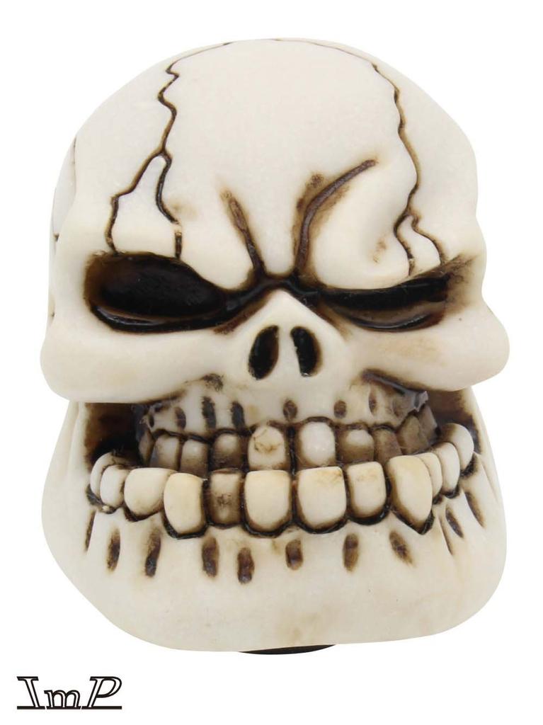 Funky Shift Knob Skull Bone Color