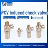 Pneumatic Quick Connect Air Induction Check Valve PCV08/06/10F/15 - One-Way Air Control Valve