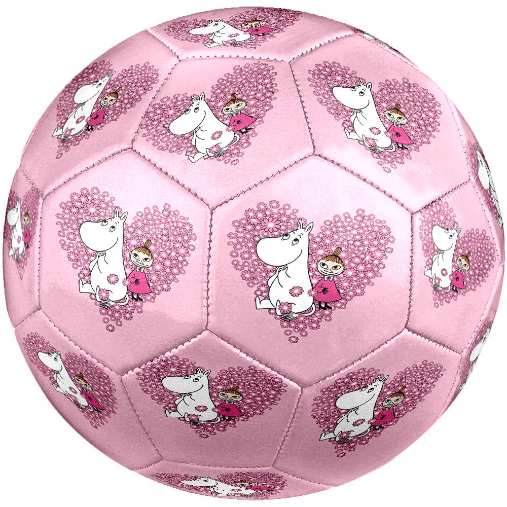Moomin Theme Size 5 Soccer Ball, Suitable for Both Indoor and Outdoor Matches, a Gift Suitable for Everyone.