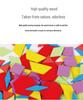 155-Piece Wooden Tangram Puzzle: 3D Geometric Shapes for Early Education and Creativity
