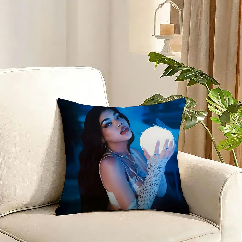 KKenia Os PinkAura Singer Cushion Cover Reversible Plush Pillow Cover Soft Fluffy Home Decor for Sofa Bedroom