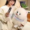 Cute Cute Pomei Doll Puppy Plush Toy Doll Children Sleeping Comfort Pillow Rag Doll Gift
