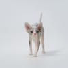 Mini Hairless Cat Model Creative Tattoo Cat Resin Simulation Animal Statue Decoration Modern Car Home Decoration Accessories
