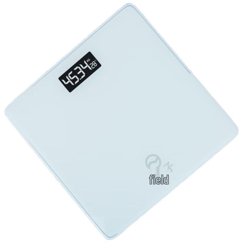 

Yangtze JS-2629 Digital Weight Scale