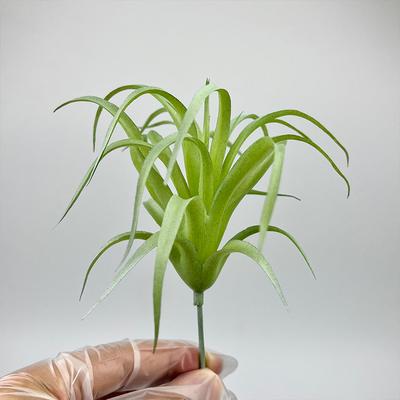 1 BUC Frunze de Bromeliadă Suculentă Plante în Ghiveci pentru Birou Acasă Ornamente Mici Perete cu Plante