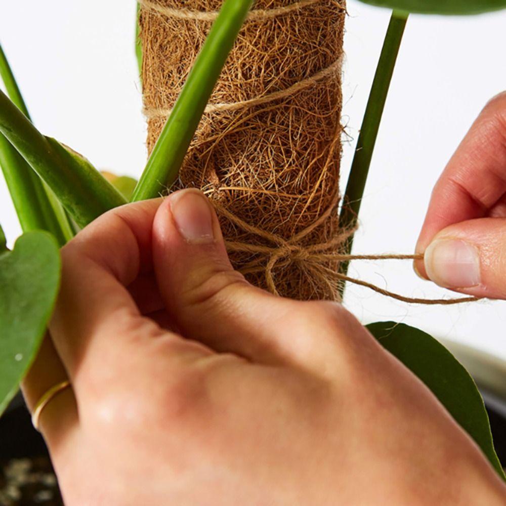 Fashion Detachable Moss Pole 32/42/52cm Gardening Tools Plant Climbing Pole To Grow Upwards Coconut Palm Stick Indoor