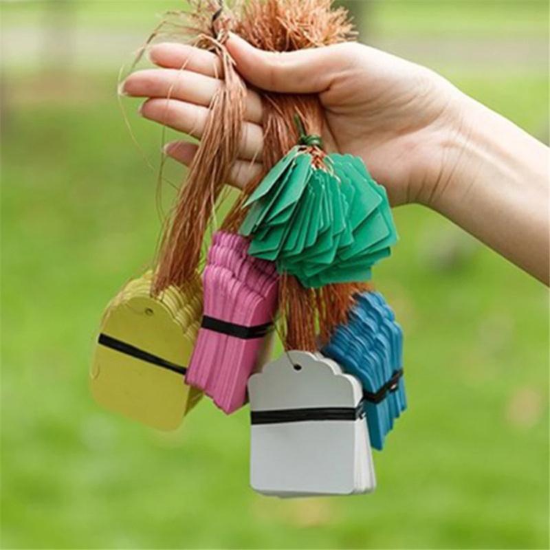 100pcs Plant  Label Plastic Pvc Hanging Tag Marker Waterproof Garden Flower Gift