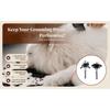 2 Pieces Carbon Brushes Dryer, Electric Motor,