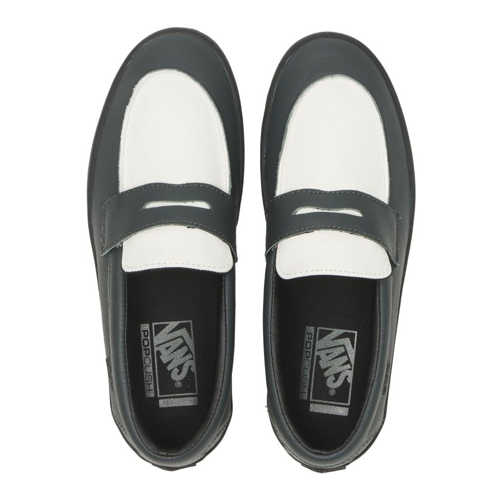 Vans Skate Loafer Vn0a5dxu1ci Dark Forest