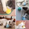 Chirping Cat Ball Toy Interactive Catnip Ball Toy with Birds Frog Crickets Sound Touch Activated Kitten Exercise Toy for Indoor Cats