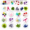 1 boks 10g tørket blomst negldekorasjon 12 farger Naturlig blomsterblandet tørrblomst DIY smykker Charms Manikyr dekor UV Gel Polish Nail Art Supplies