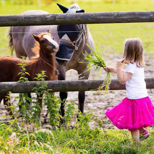 Stuurvnee 10 sztuk małych mosiężnych dzwonków dla krów, koni i owiec, retro miedziane dzwonki dla koni i owiec, dzwonki dla krów