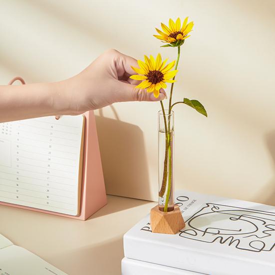 Test Tube Vase Glass Hydroponic Vase With Wooden Stand Desktop Transparent Tube