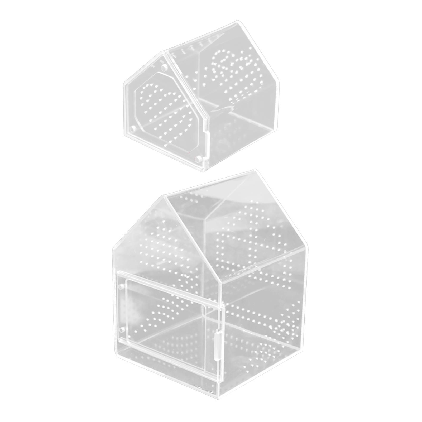 

Jumping Spiders Enclosure Enclosure Feeding Box Acrylic Small Breeding Box 12cmx12cmx12cm