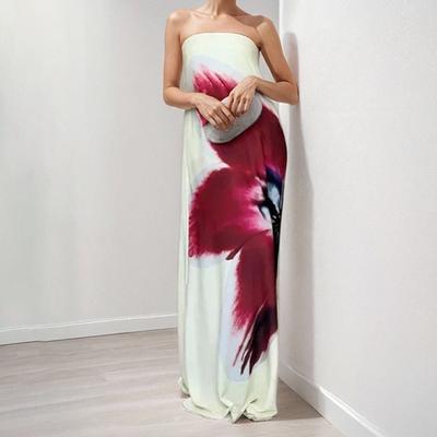Spring New Women's Clothing Elegant and Elegant Strapless Sleeveless Long Skirt Fashionable Printed Dress