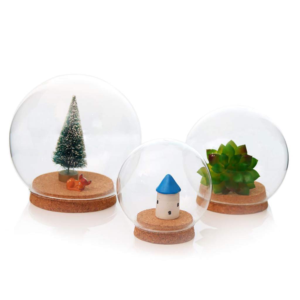 Fenteer 2-Piece 12cm Diameter Glass Dome Cover with Wood Cork, Cloche Jar Terrarium, Wedding Reception Decoration, Miniature Craft