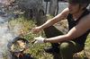 Adventure Gear Jet Slow Yokozawa Teppan Iron Wok
