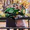 1 Stück Automatischer Faltregenschirm - Roronoa Zoro Muster Tragbares faltbares Design mit 8 Speichen Weihnachts-Geburtstagsgeschenke
