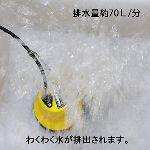 Sutekus Plastic Water Supply & Drain Pump, Saltwater Compatible, DC 12V 75W, Lightweight, Quiet, High Pressure, 4.5m³/Hour Discharge Capacity, Include