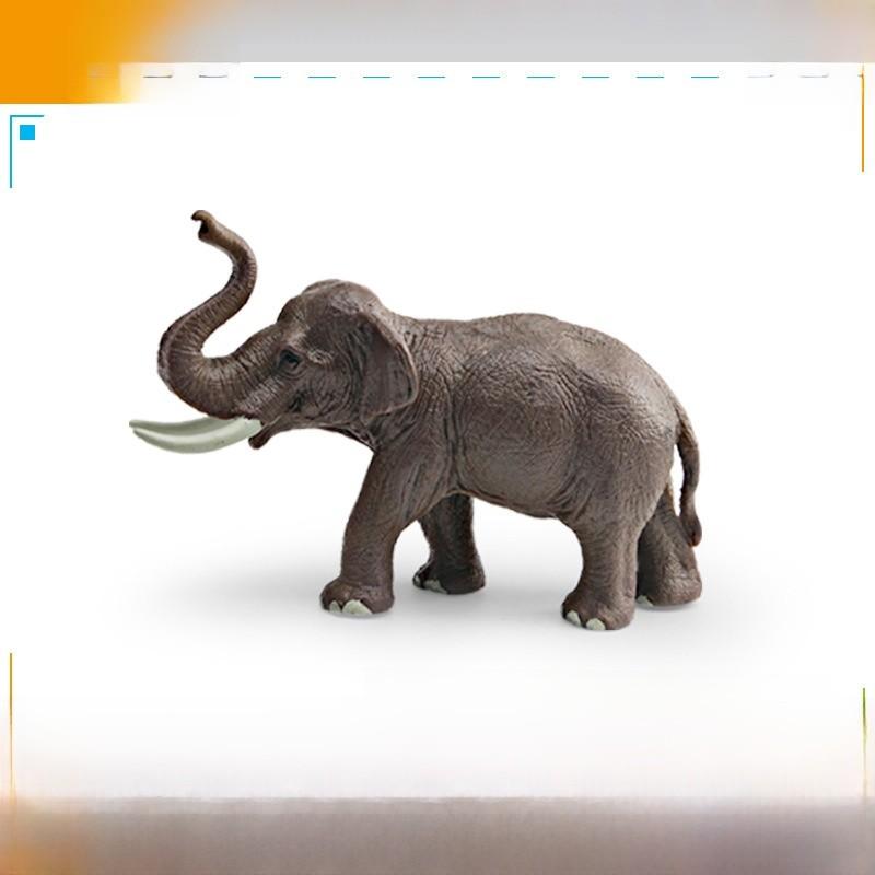 Animal Wildlife Model Toy For Kids Educational Decor And Collectors