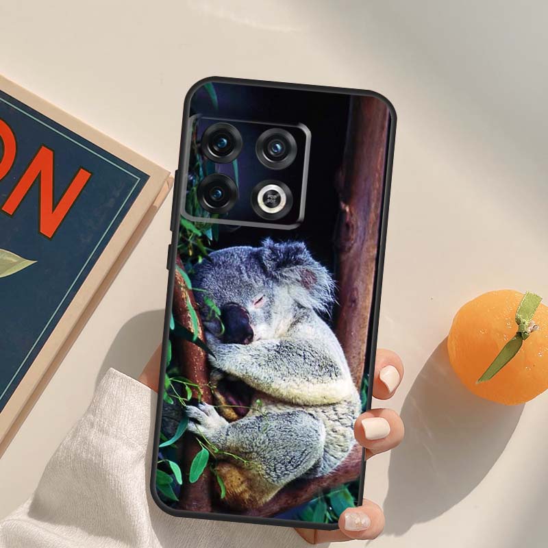 Australisches Koala-Case Für OnePlus 12R 13R 13T 10R 15 13 12 11 10T 8T Nord CE 4 3 2 Lite N20 N30 Nord 5 Hülle