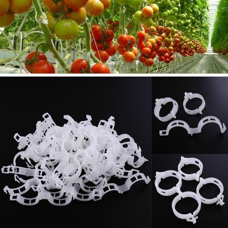 100Pcs Plastic Vine Fixing Clip, Pumpkin Vine Tying Clip, Agricultural Hanging Vine Supporting Vine Tying Branch Plant Fixing Clip