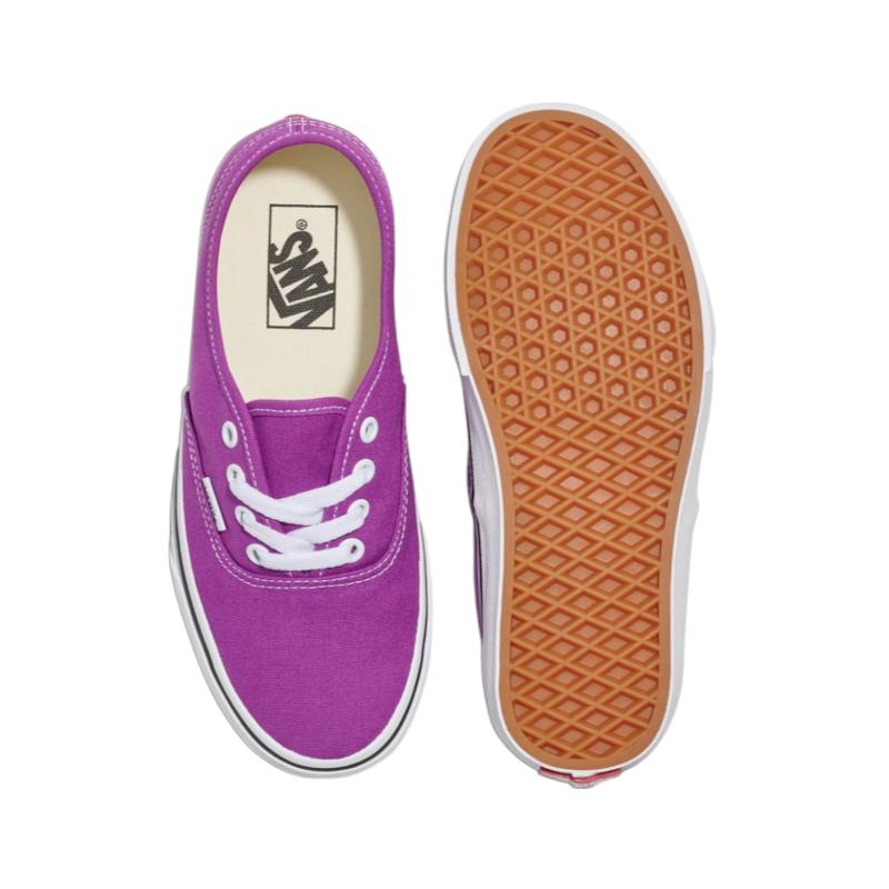 Vans Authentic Abrasion Resistant Low top Skateboard Shoes Unisex Purple VN000D6GE2T