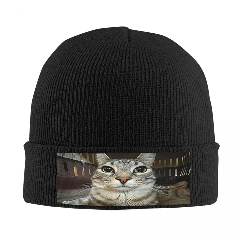 Cat Looking Directly At You Warm Knitted Cap Fashion Bonnet Hat Autumn Winter Outdoor Beanies Hats for Unisex Adult
