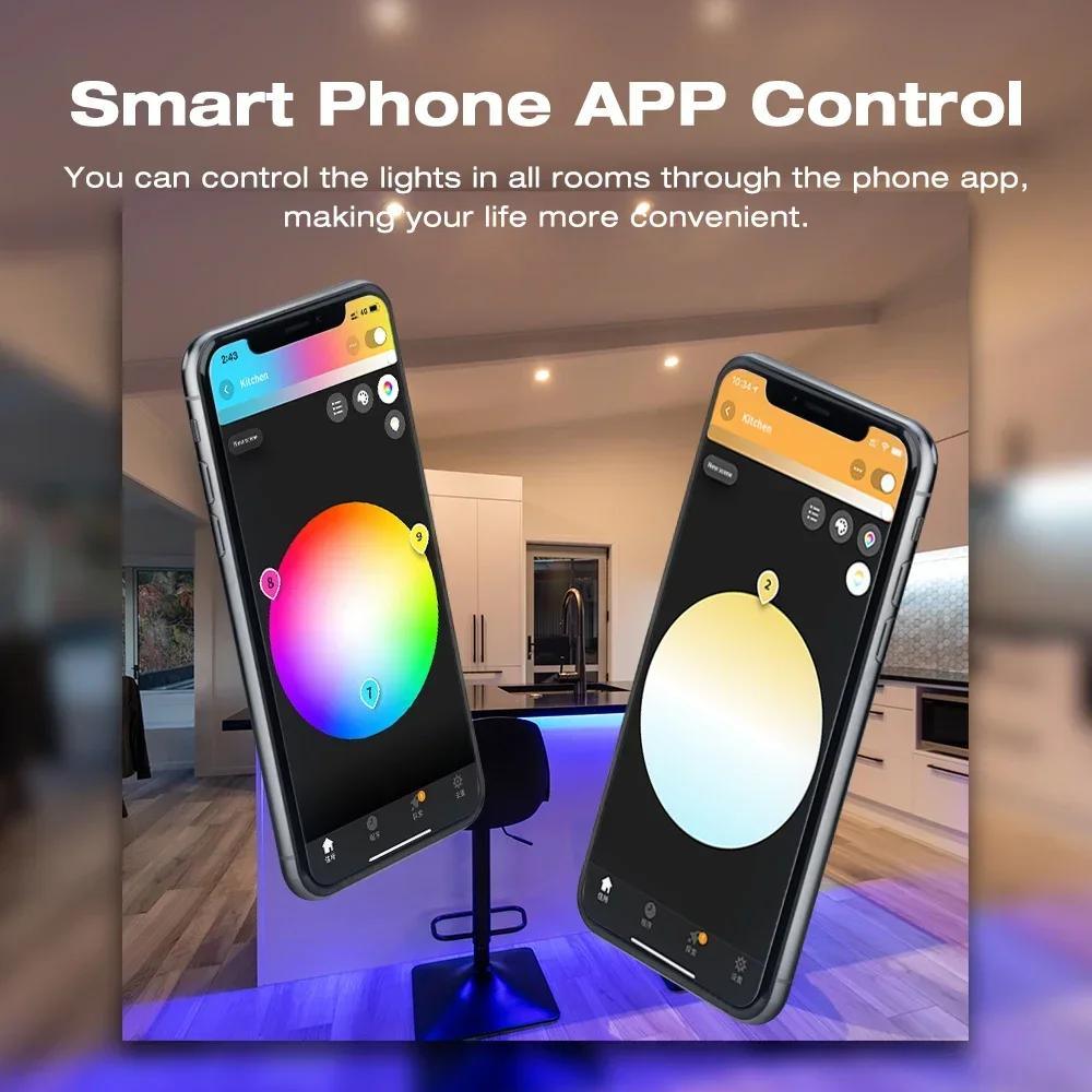 Tuya Smart Zigbee LED-Controller für einfarbiges RGB CW RGBW RGB+CCT LED-Band Sprach-APP-Steuerung 12V LED-Lichtcontroller Alexa