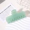 2025 High-End Women's Acetate Shark Hair Claw Clip Hairpin Accessory