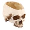 1pc Resin Skull Head Design Flower Pot Planter Container Decoration