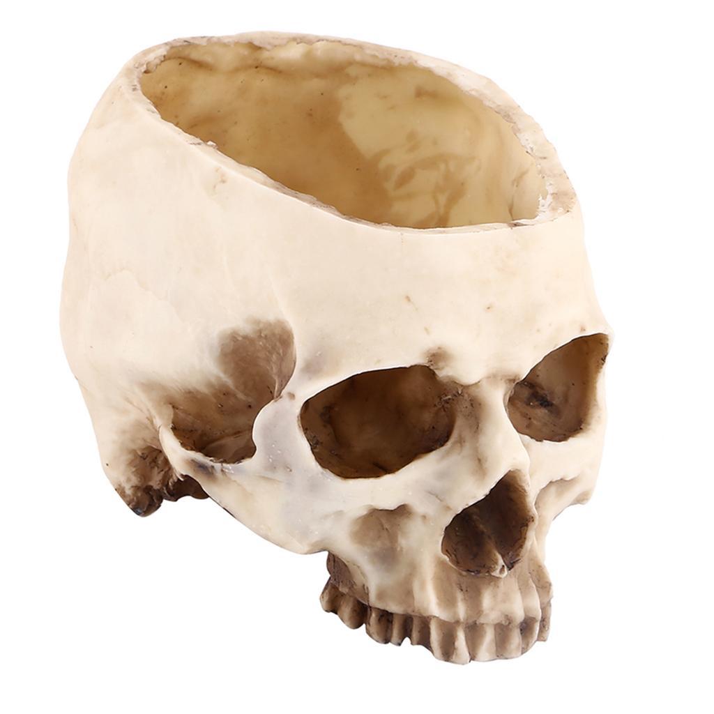 1pc Resin Skull Head Design Flower Pot Planter Container Decoration