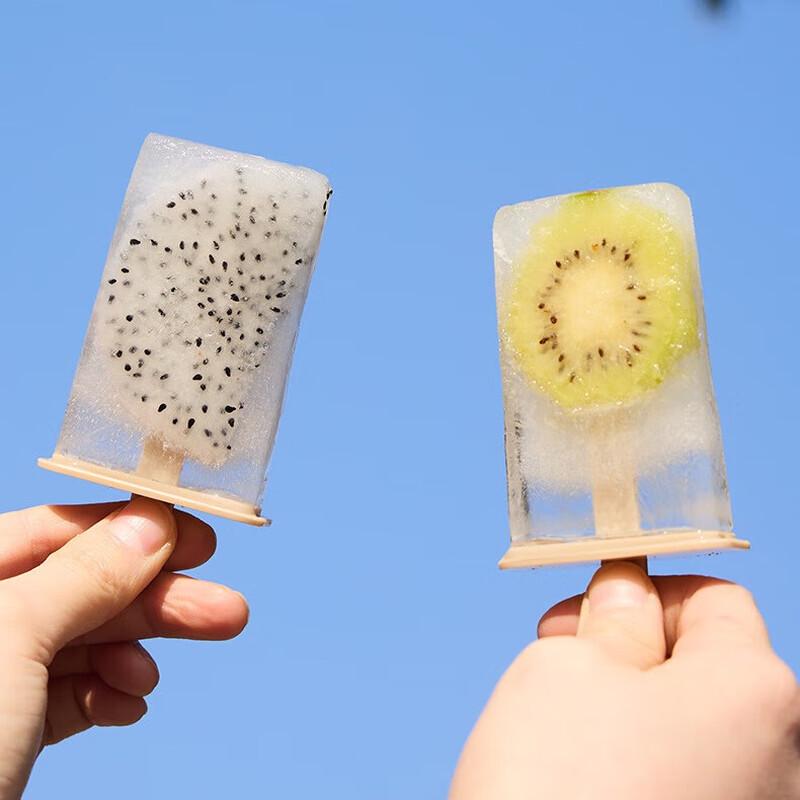 DIY Ice Cream Popsicle Mold Kit