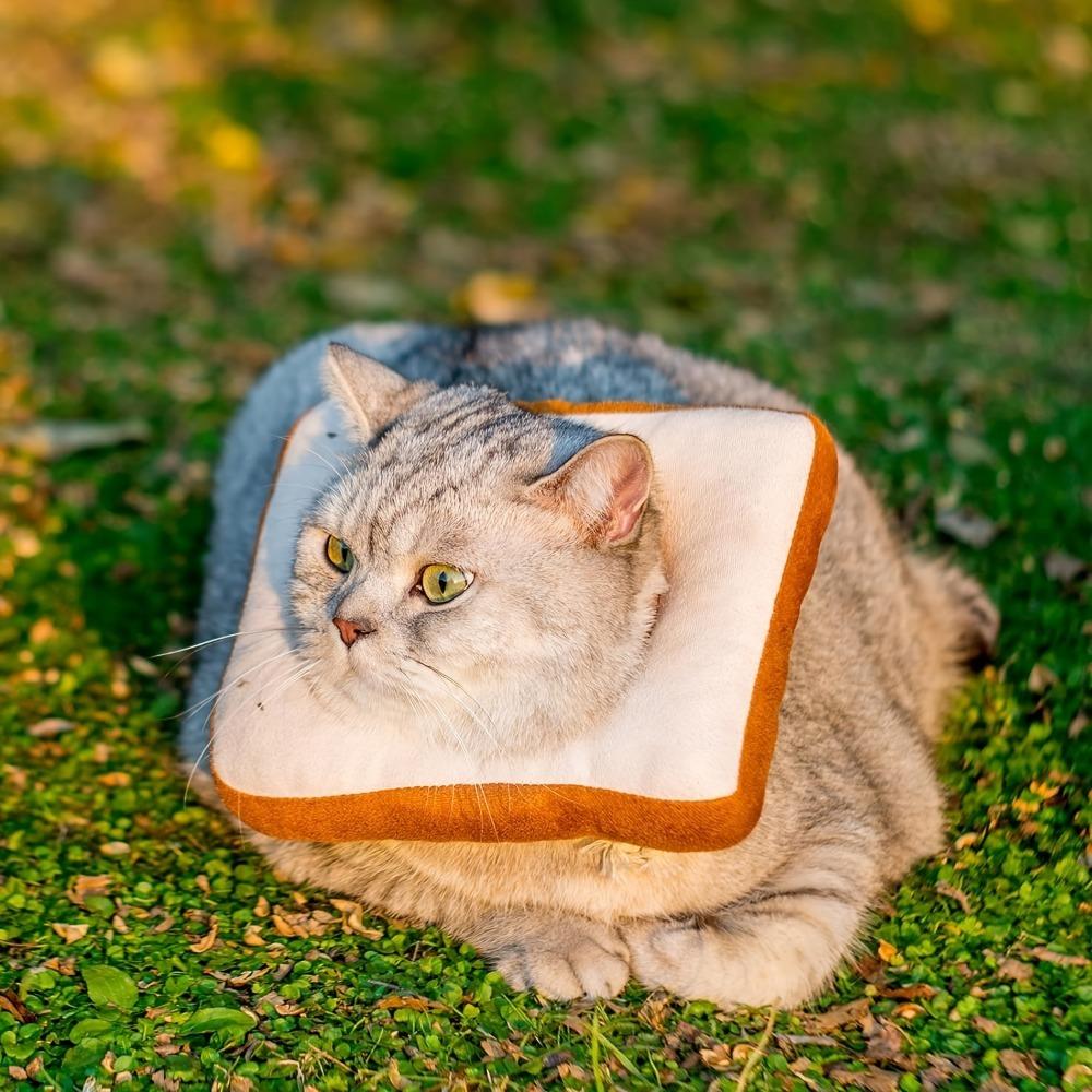 1 Piece Toast Shaped Adjustable Pet Cone Collar Anti-Lick Cat And Kitten Shame Circle Cat Recovery Cone Collar Suitable For After Surgery