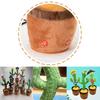 Brinquedo Cacto Dançarino Com Canto e Dança Planta de Pelúcia Interativa
