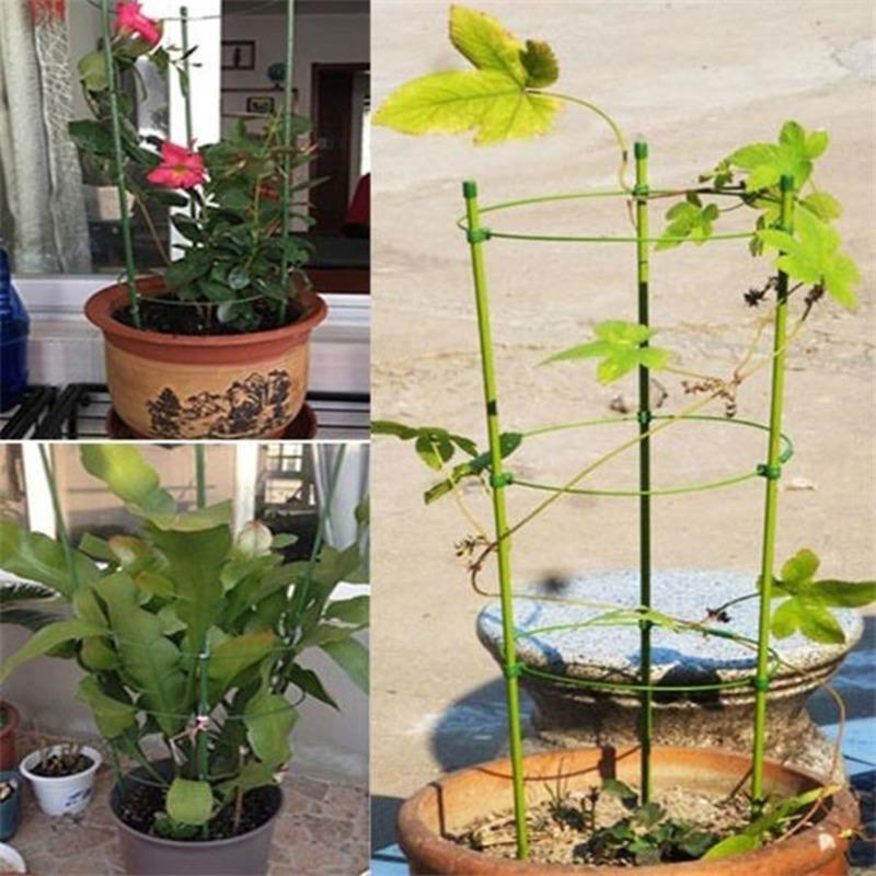Climbing Plant Support Cage Garden Trellis Flowers Rings 3 Super Stand T3G7 Climbing Plant Support Cage Garden Trellis Flowers Rings 3 Super Stand T3G7