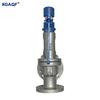 XGAQF Cast Steel Spring-Loaded Safety Valve