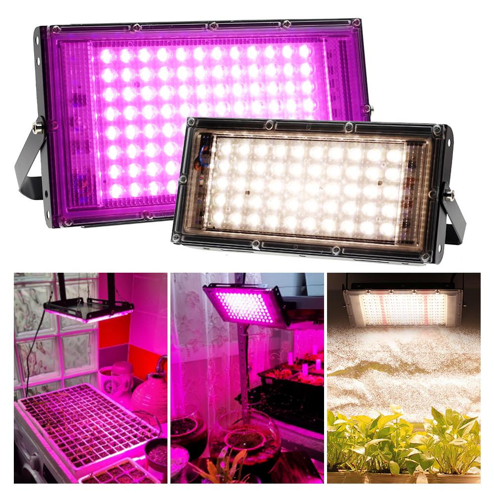 LED Grow Light 220V Full Spectrum Phytolamp 50W/100W/300W Waterproof