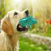 Dog Toys For Aggressive Chewers, Dog Teething Cleaning Toothbrush Toy(blue)-WG