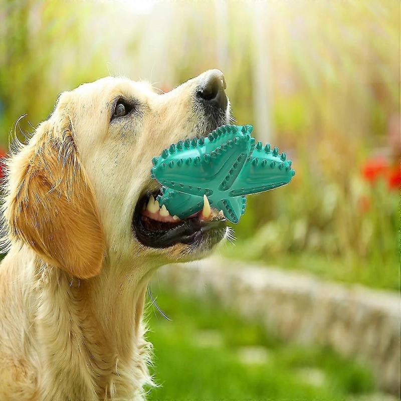 Dog Toys For Aggressive Chewers, Dog Teething Cleaning Toothbrush Toy(blue)-WG