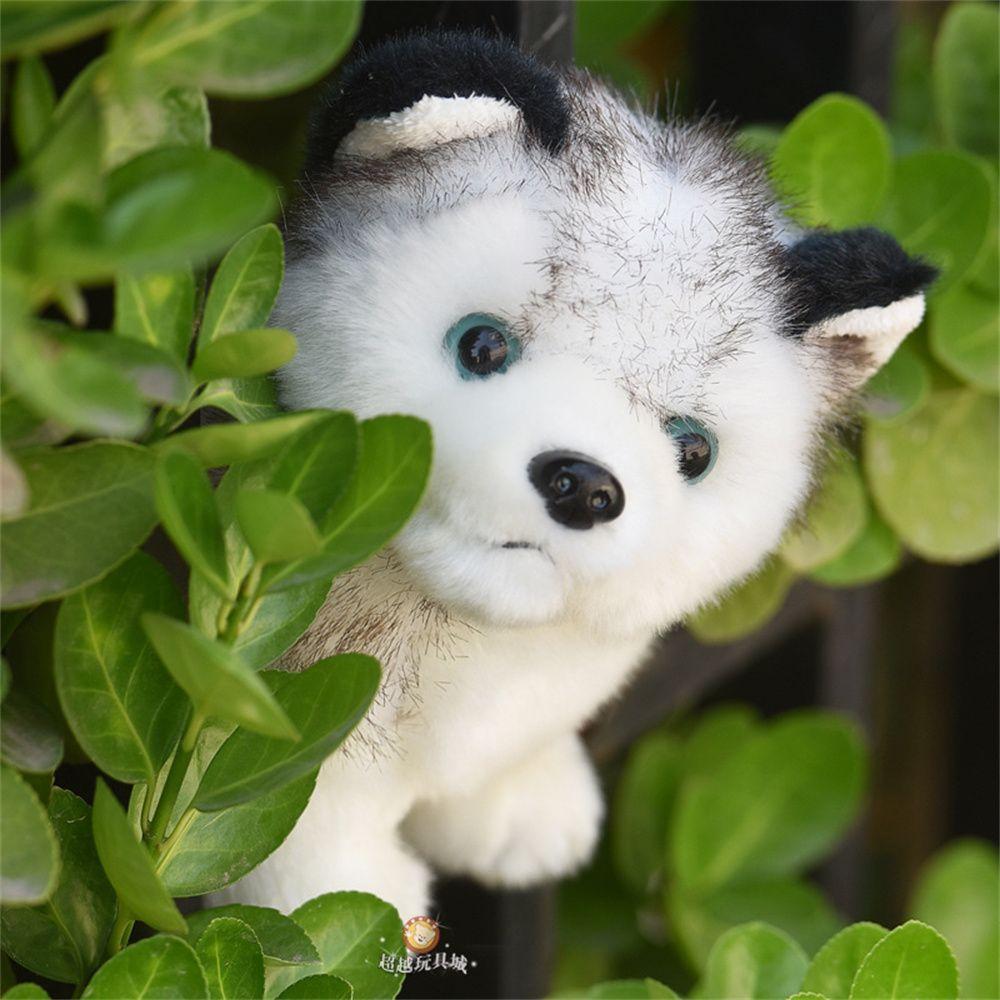 Simulation Husky Realistic Stuffed Doll Husky Dog Plush Toys Dog Plush Toys Plush Husky Dolls