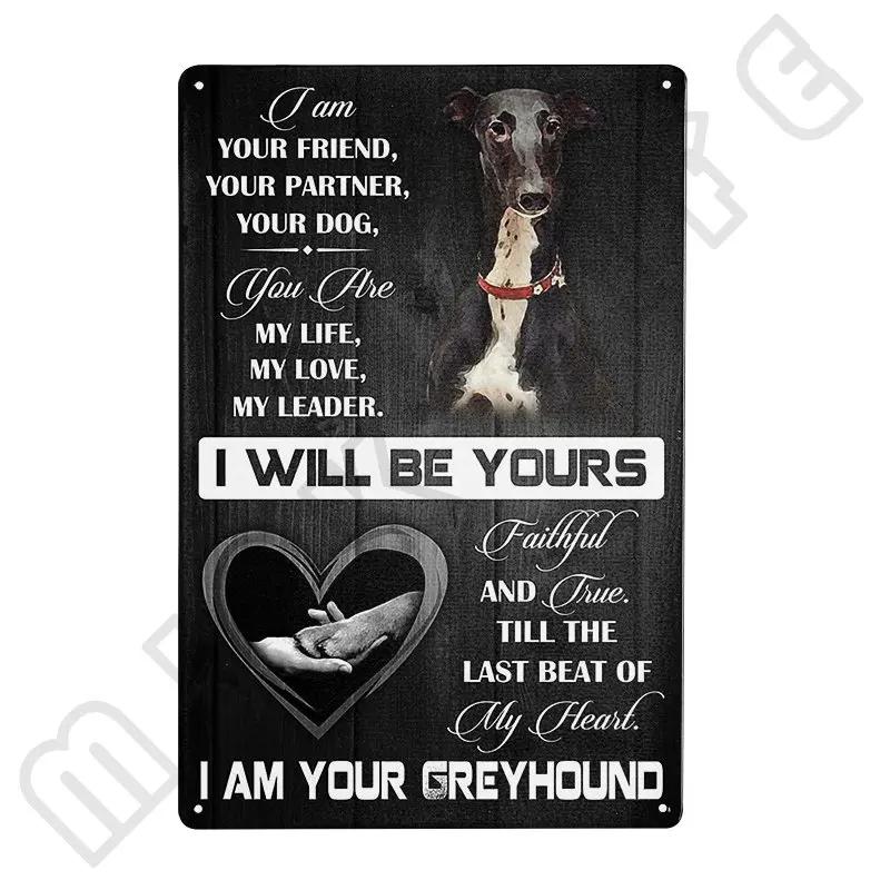 Windhund Metallschild Ich bin dein Freund Ich bin dein Windhund Poster Badezimmerzimmer Küche Garage Zuhause Kunst Wanddekoration