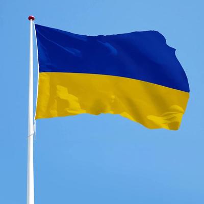Ukraine-Flagge, Garten, Bar, Restaurant und Familienparty-Dekoration