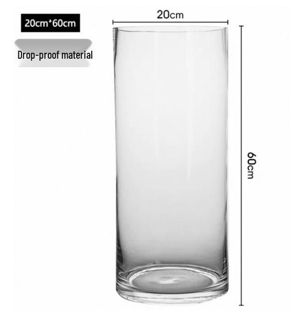 Drop-Proof Acrylic Vase for Modern Minimalist Living Room with Hydroponic Lucky Bamboo and Large Green Plant