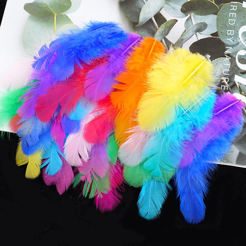 Mixed Color Chicken & Peacock Feathers for DIY Ornaments, Handicrafts, and Handmade Clothing Accessories.