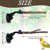 Wellensittich Sitzstange Saugnapf Holz Leicht Vogel Fenster Sitzständer Für Wellensittich Lovebird Conure Wellensittich Finken Fliese