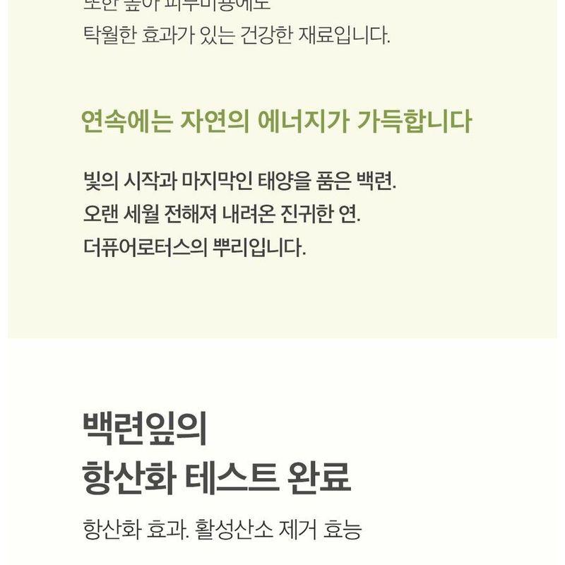 THE PURE LOTUS - Lotus Leaf Shampoo For Oily Scalp Jumbo