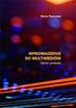 Introduction To Multimedia: Theory and Practice